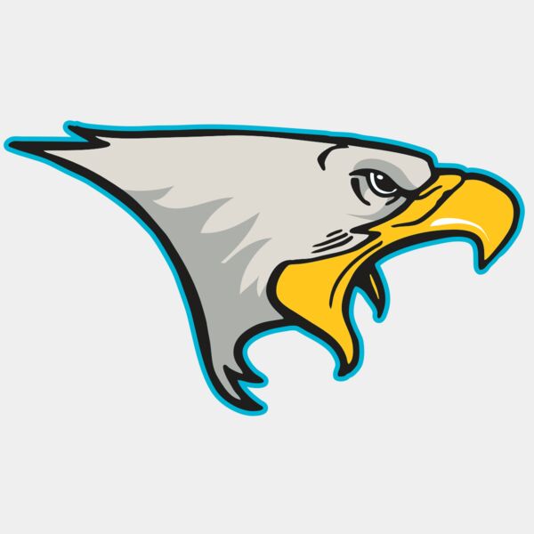 AR14 EAGLE FBALL 01 RQC Thumbnail