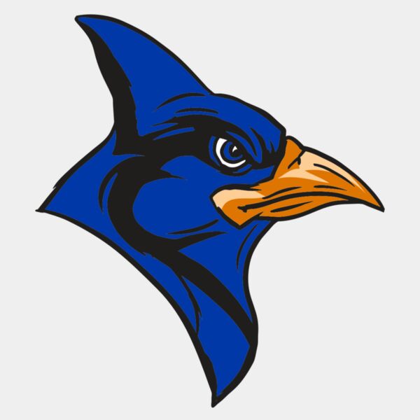 AR13 BLUEJAY 04 RQC Thumbnail