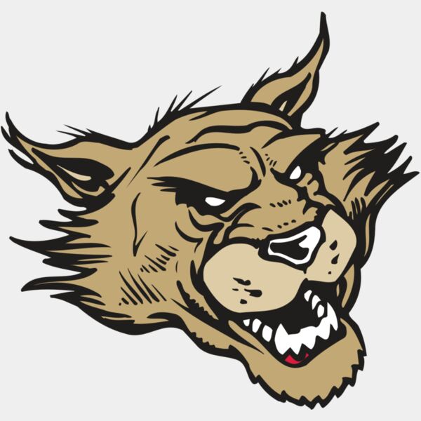 AR WILDCAT 39 RC Thumbnail